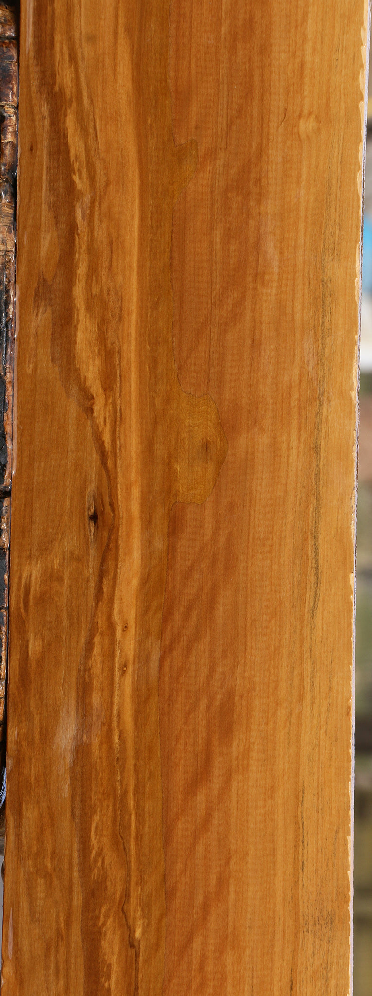 Extra Fancy Castello Boxwood Lumber