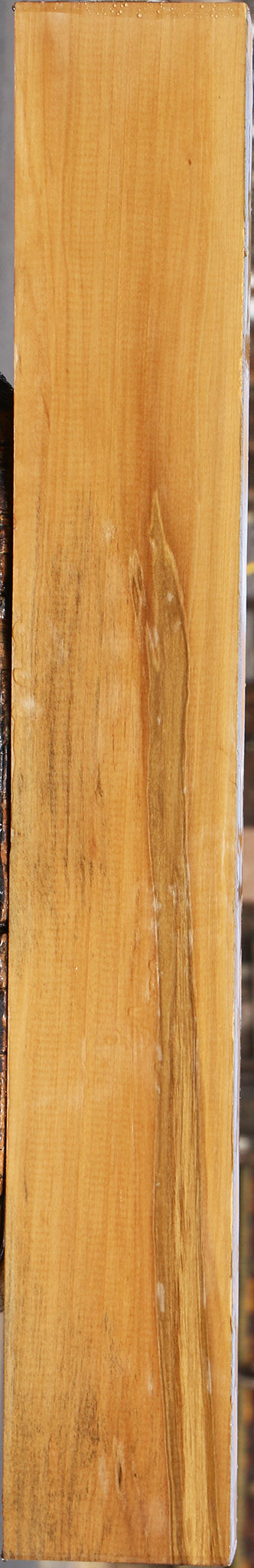 Castello Boxwood Lumber