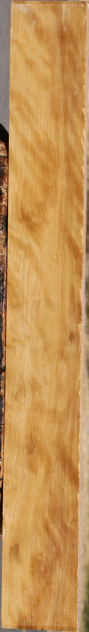 Extra Fancy Castello Boxwood Lumber