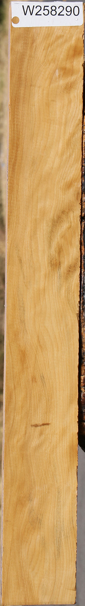 Extra Fancy Castello Boxwood Lumber