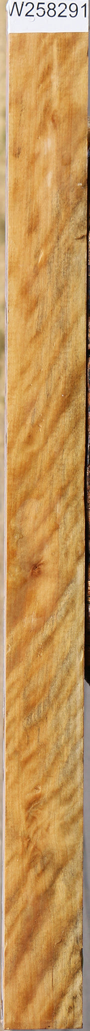 Extra Fancy Castello Boxwood Lumber