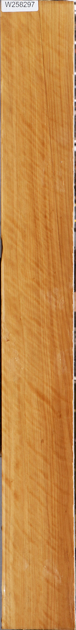 Extra Fancy Castello Boxwood Lumber