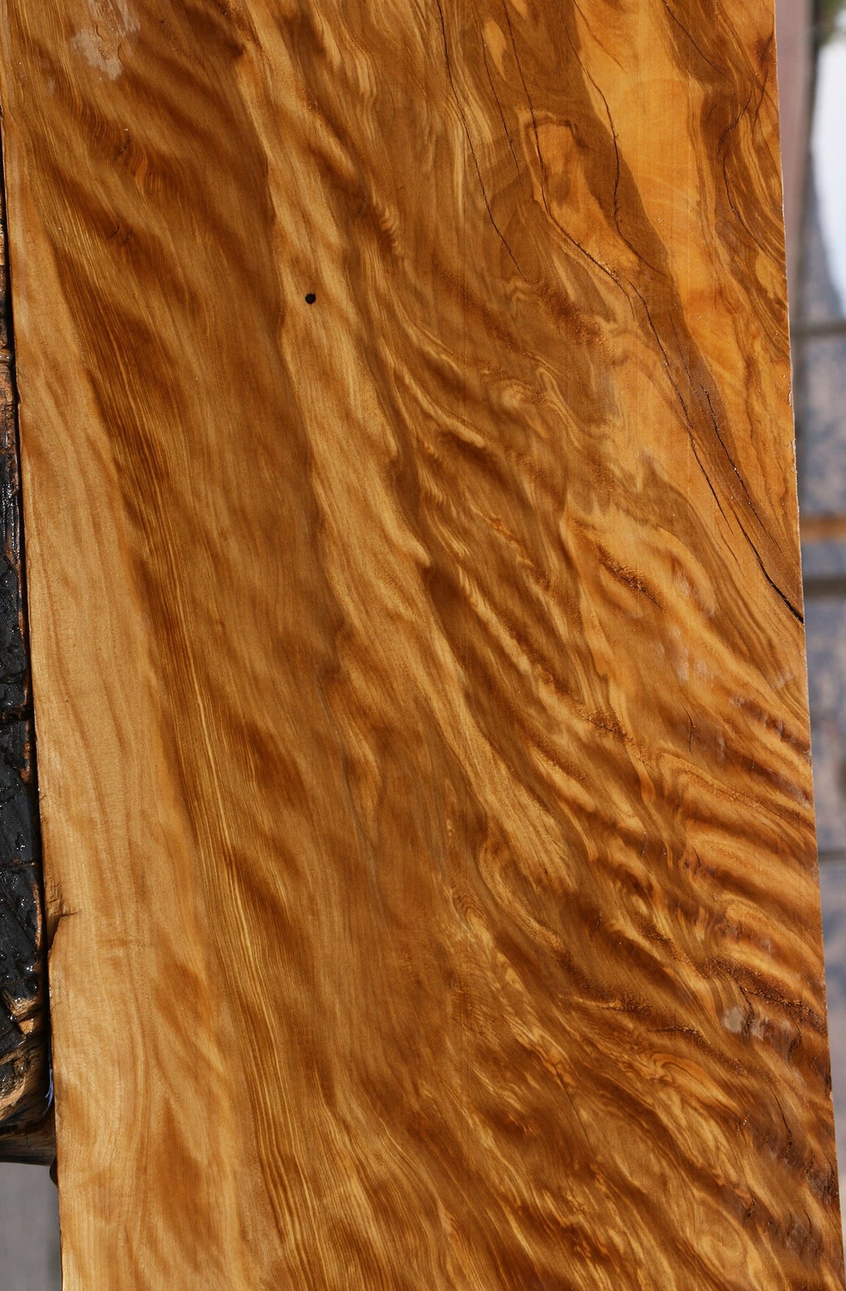Exhibition Castello Boxwood Lumber