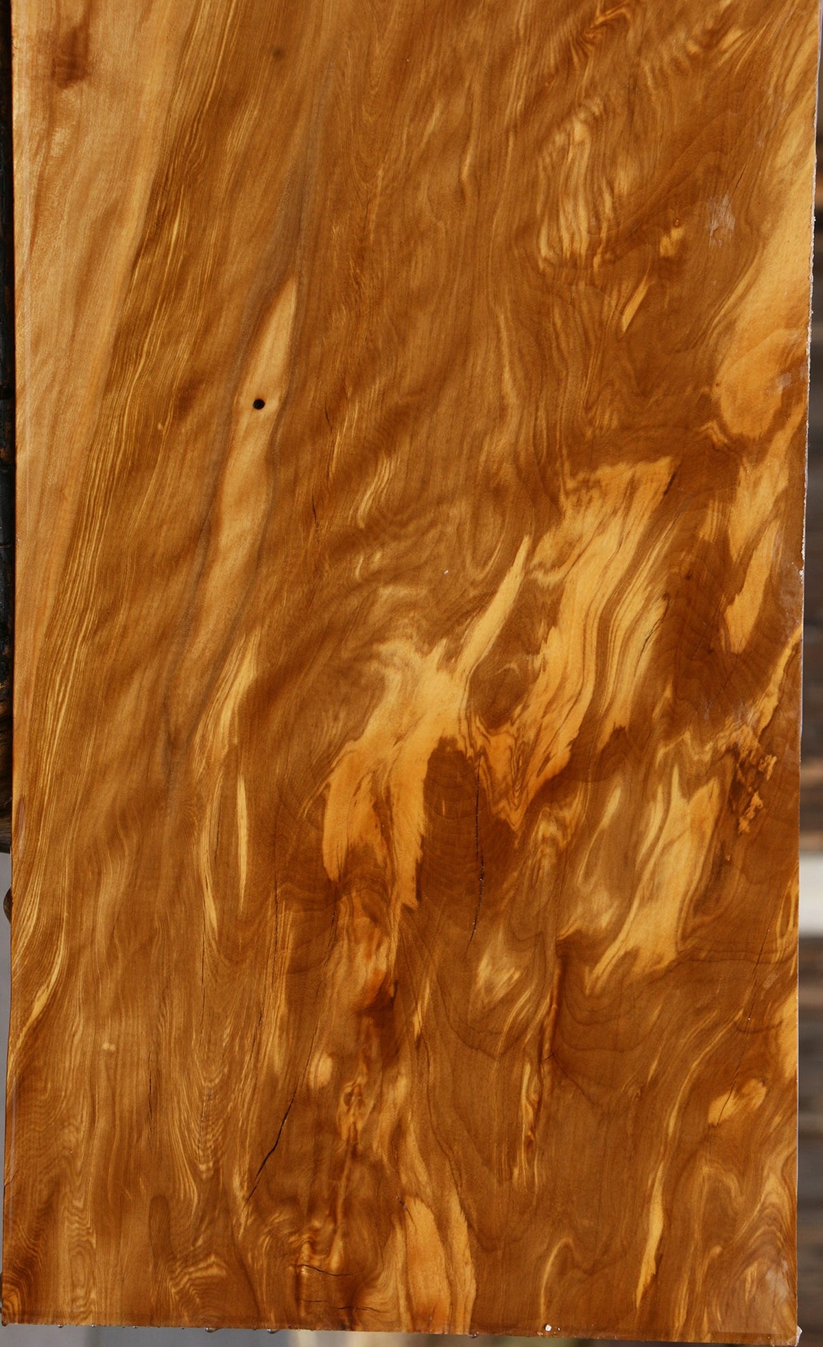 Exhibition Castello Boxwood Lumber