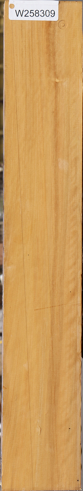 Figured Castello Boxwood Lumber