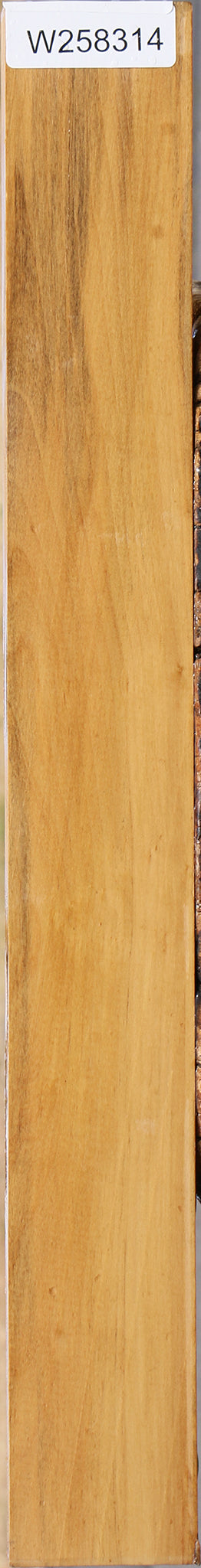 Castello Boxwood Lumber