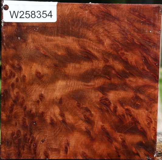 Redwood Burl Bowl Blank