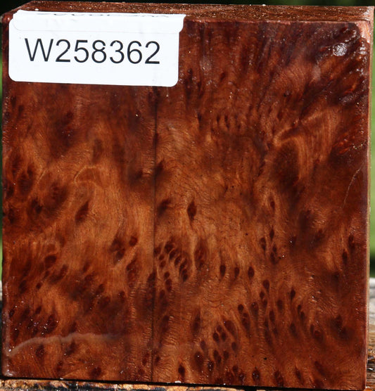 Redwood Burl Bowl Blank