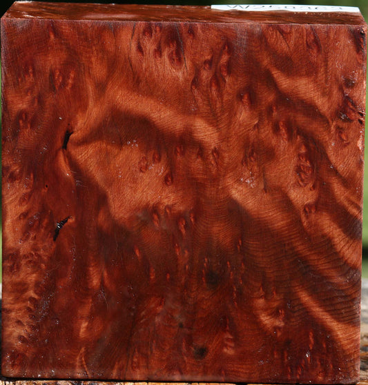 Redwood Burl Bowl Blank