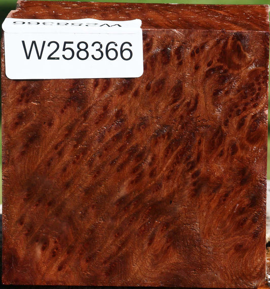 Redwood Burl Bowl Blank