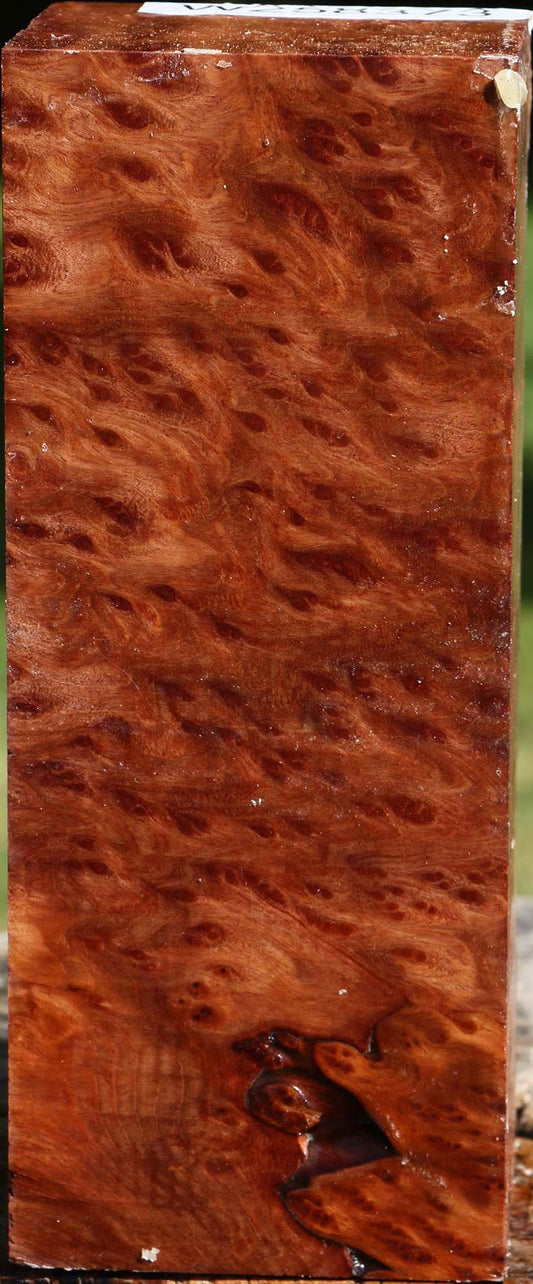 Redwood Burl Turning Square