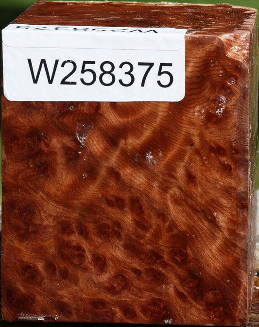 Redwood Burl Turning Blank