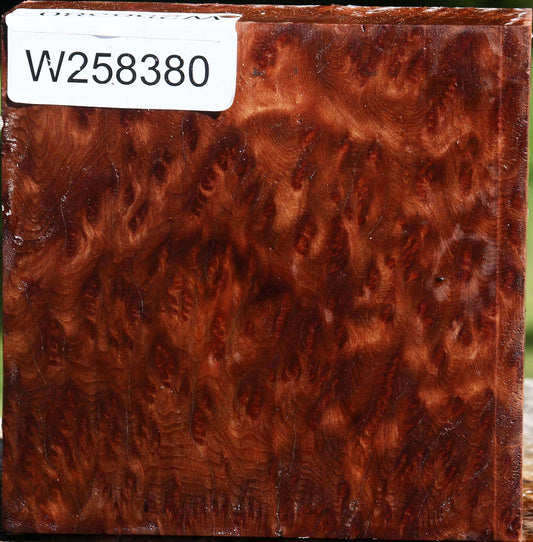 Redwood Burl Bowl Blank