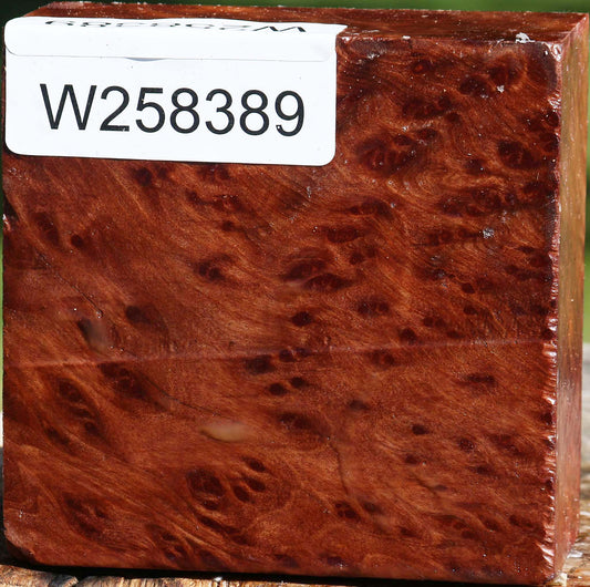Redwood Burl Bowl Blank