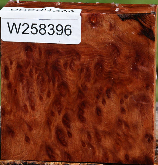 Redwood Burl Bowl Blank