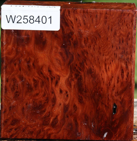 Redwood Burl Bowl Blank