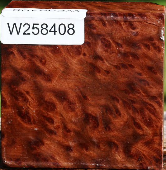 Redwood Burl Bowl Blank