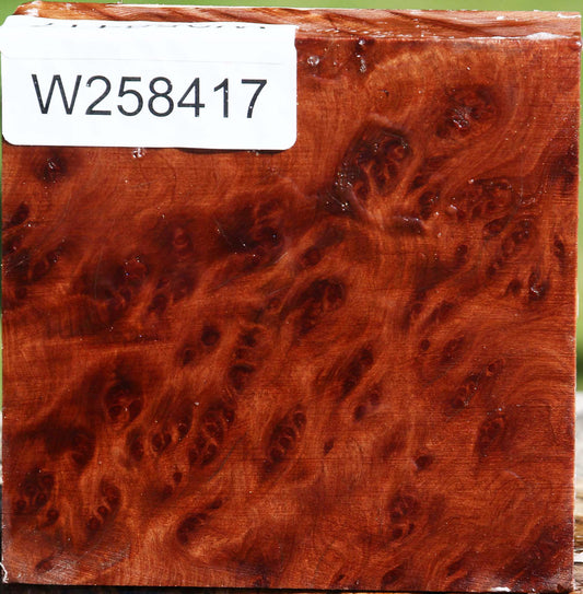 Redwood Burl Bowl Blank