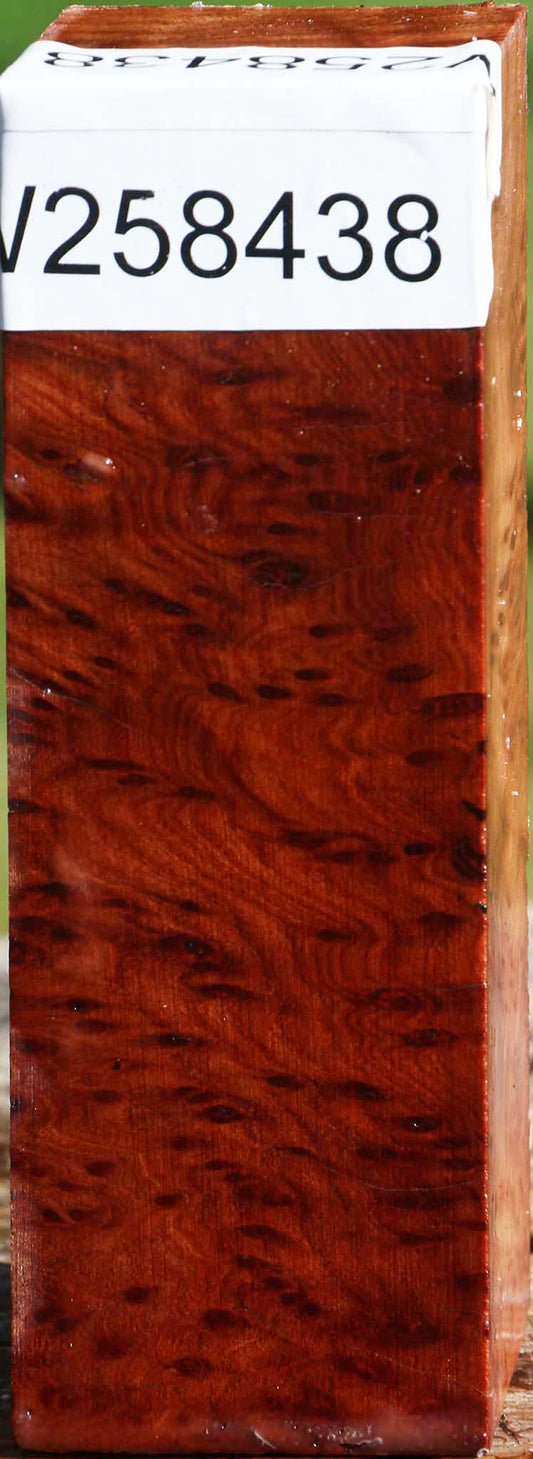 Redwood Burl Turning Square