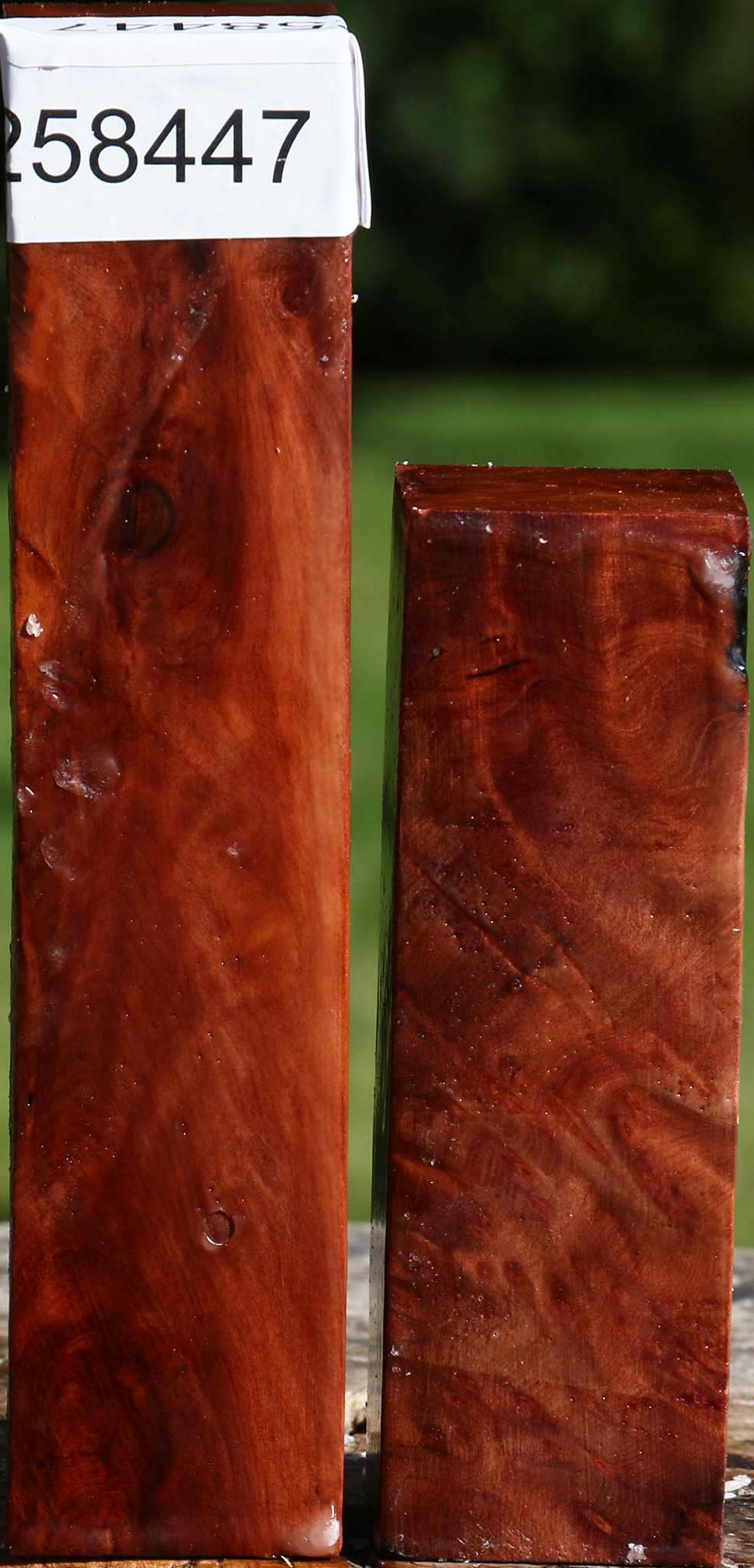 Redwood Burl Turning Square 2 Pack