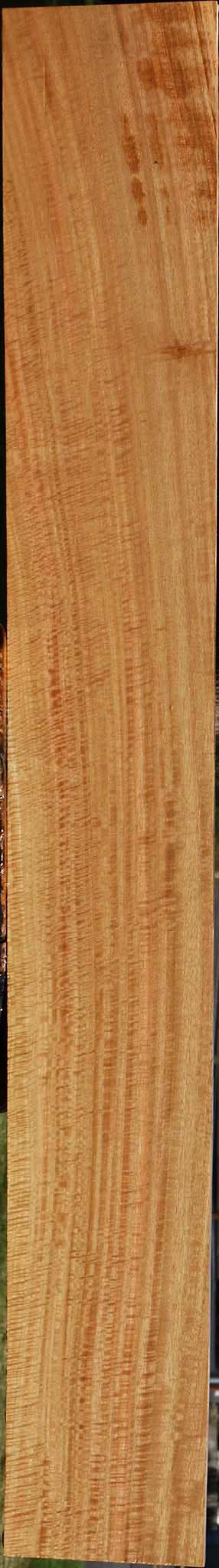 Exhibition Eucalyptus Lumber