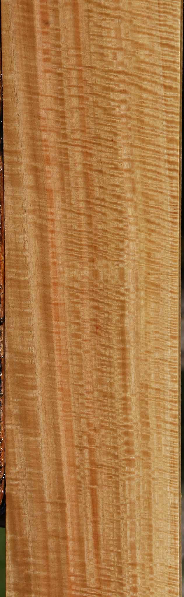 Exhibition Eucalyptus Lumber