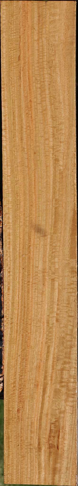 Extra Fancy Eucalyptus Lumber