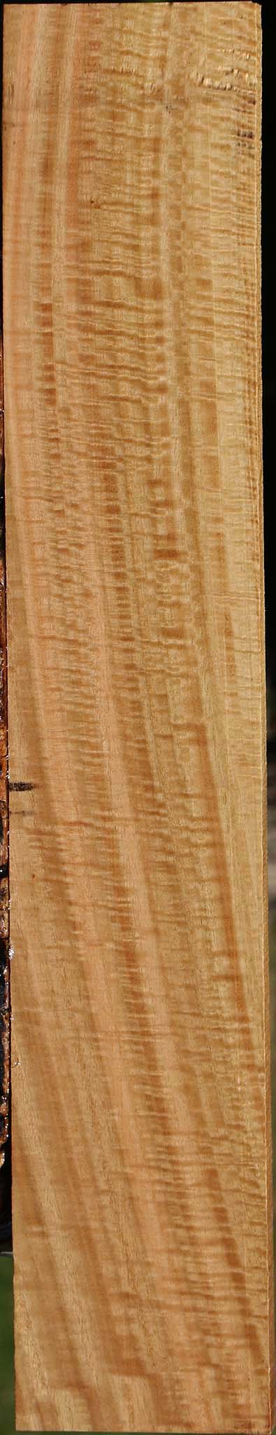 Extra Fancy Eucalyptus Lumber