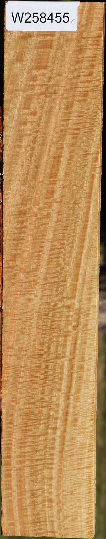 Extra Fancy Eucalyptus Lumber