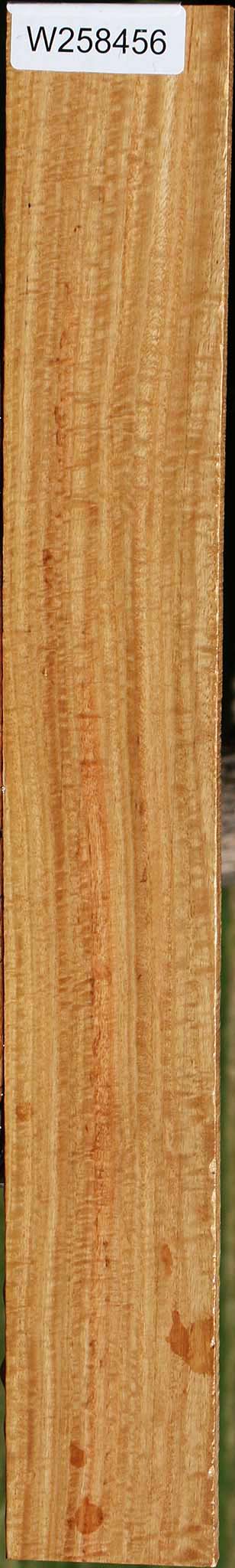 Extra Fancy Eucalyptus Lumber