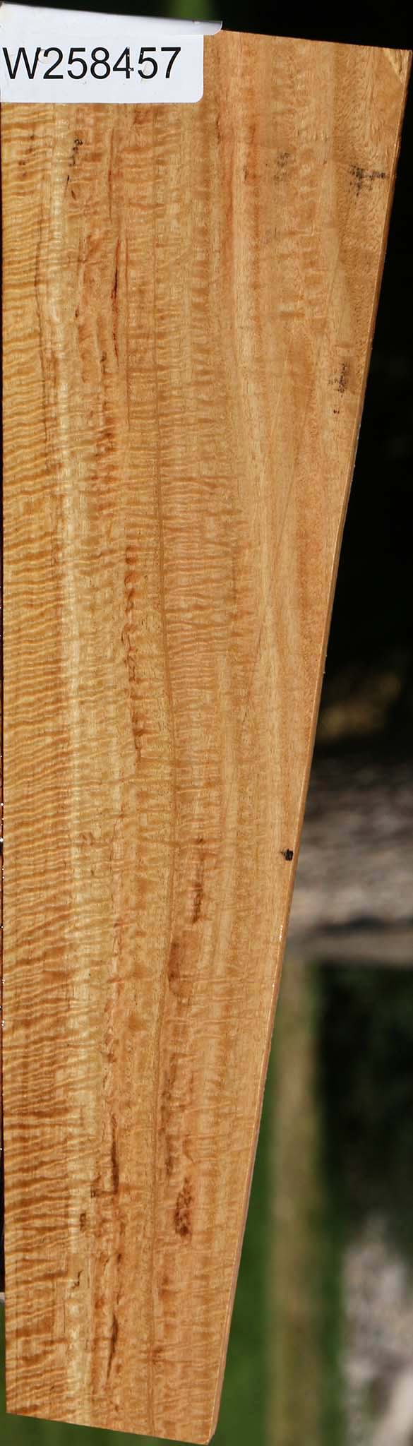 Extra Fancy Eucalyptus Lumber