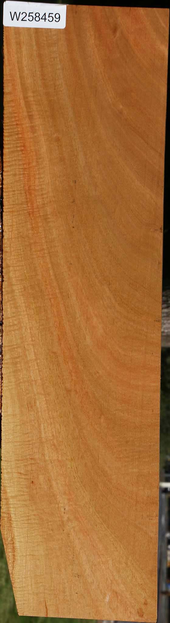 Extra Fancy Eucalyptus Lumber