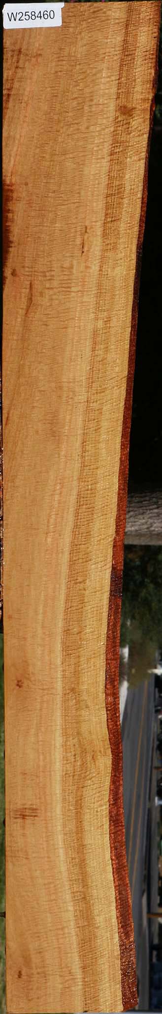 Exhibition Eucalyptus Live Edge Lumber