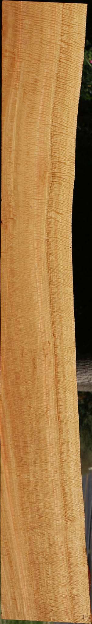 Exhibition Eucalyptus Live Edge Lumber
