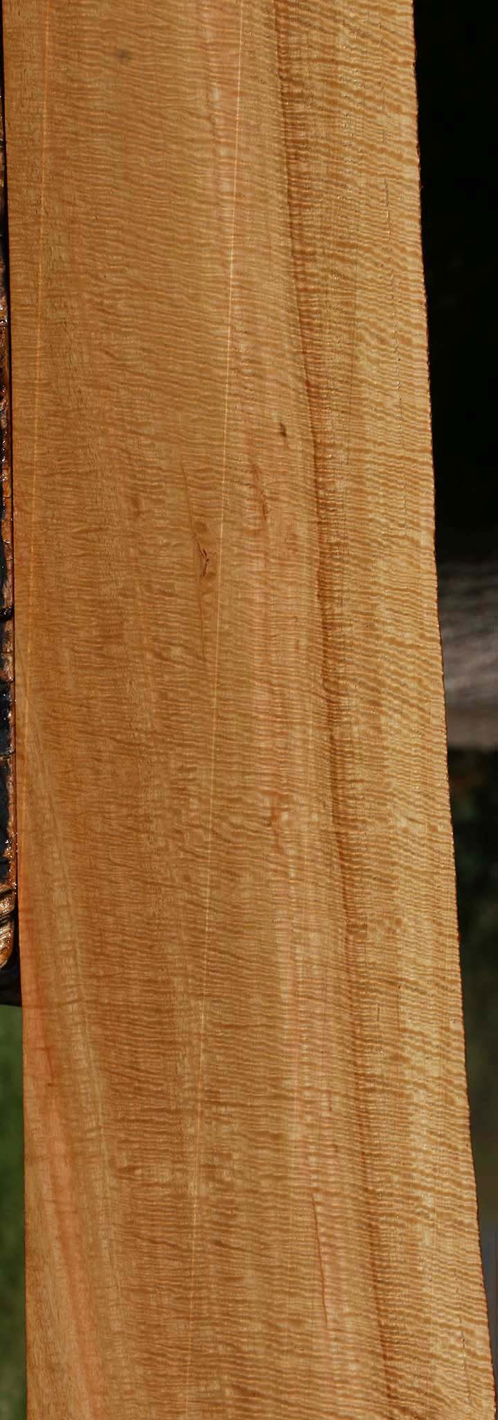 Exhibition Eucalyptus Live Edge Lumber