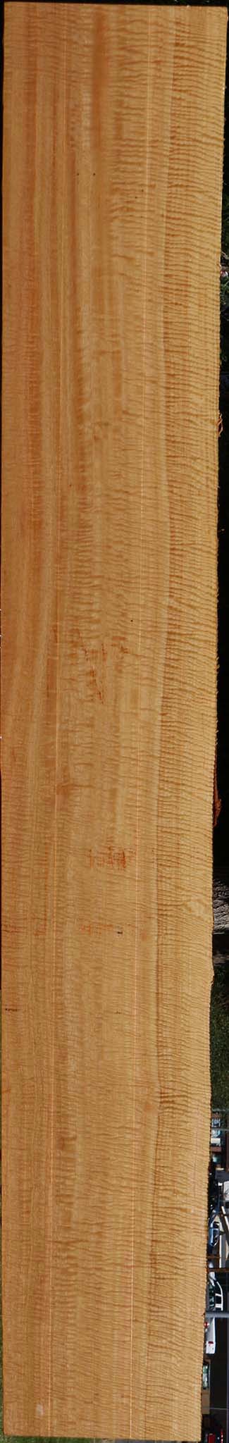 Exhibition Eucalyptus Live Edge Lumber