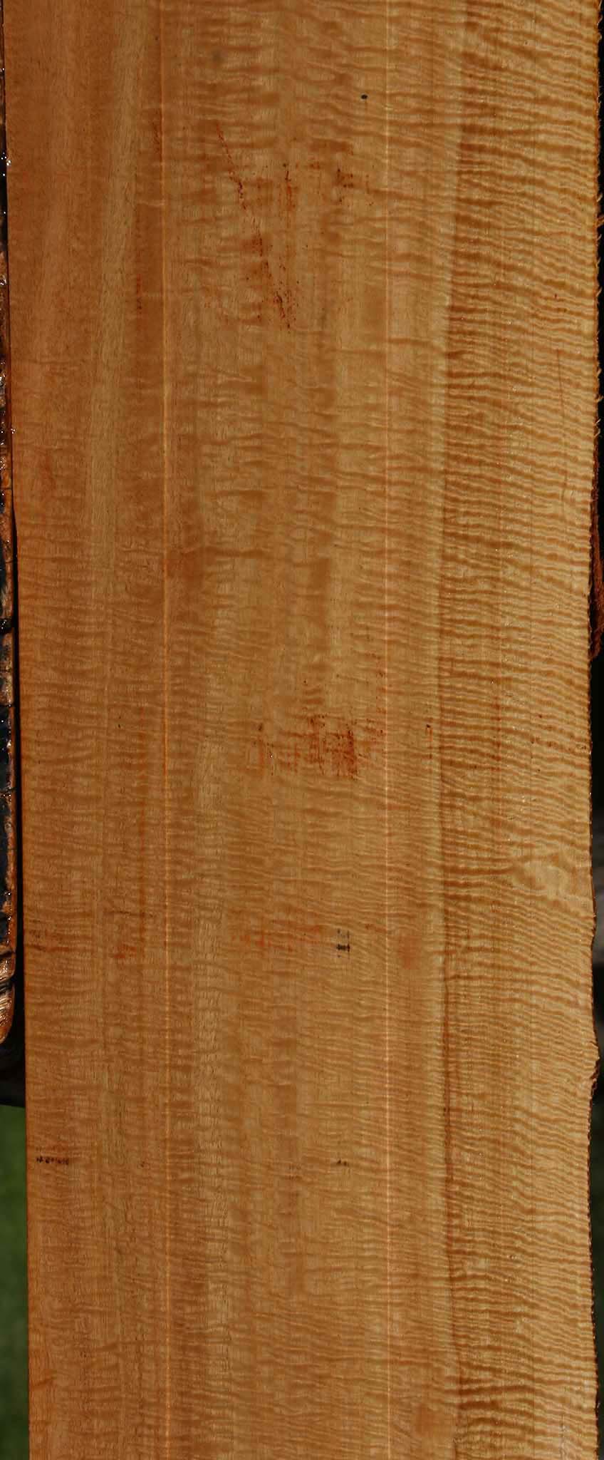 Exhibition Eucalyptus Live Edge Lumber