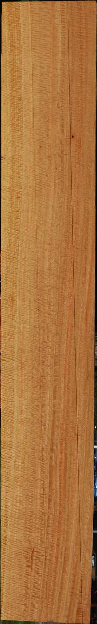 Exhibition Eucalyptus Lumber