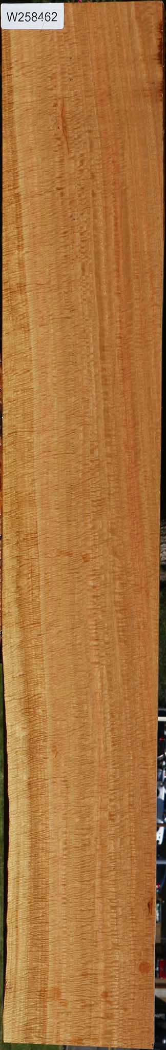 Exhibition Eucalyptus Lumber