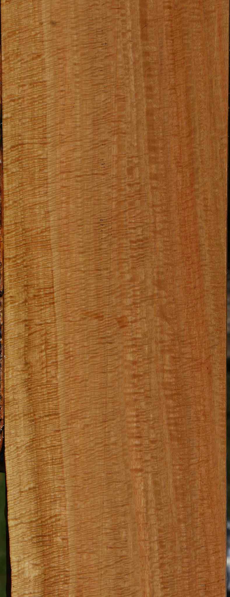 Exhibition Eucalyptus Lumber