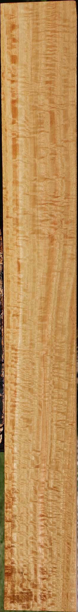Extra Fancy Eucalyptus Lumber