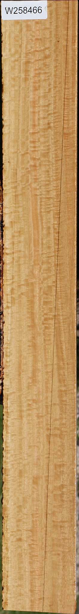Extra Fancy Eucalyptus Lumber