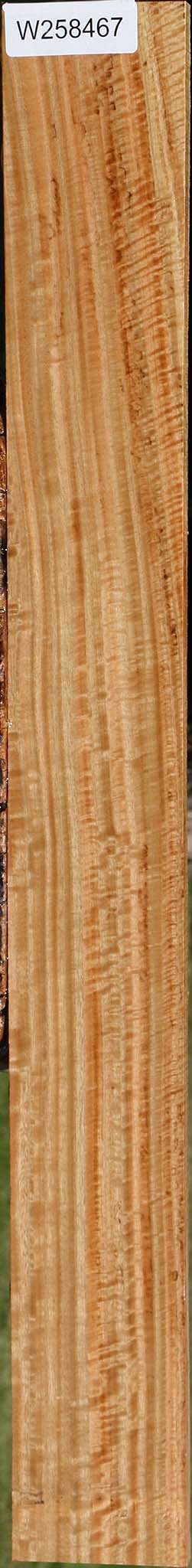 Extra Fancy Eucalyptus Lumber