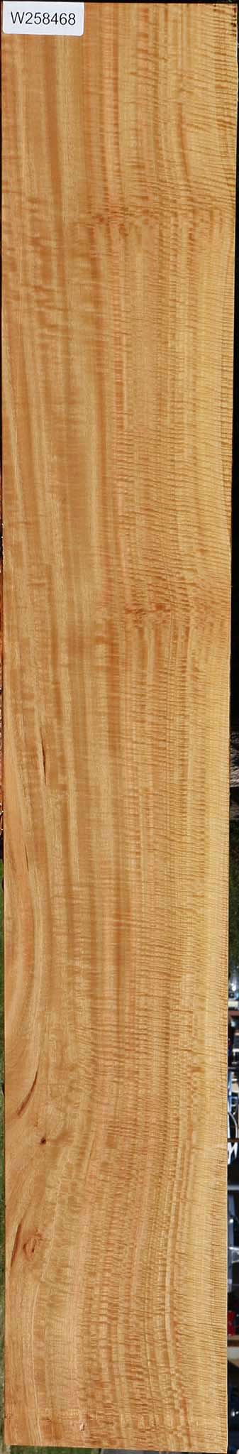 Extra Fancy Eucalyptus Lumber