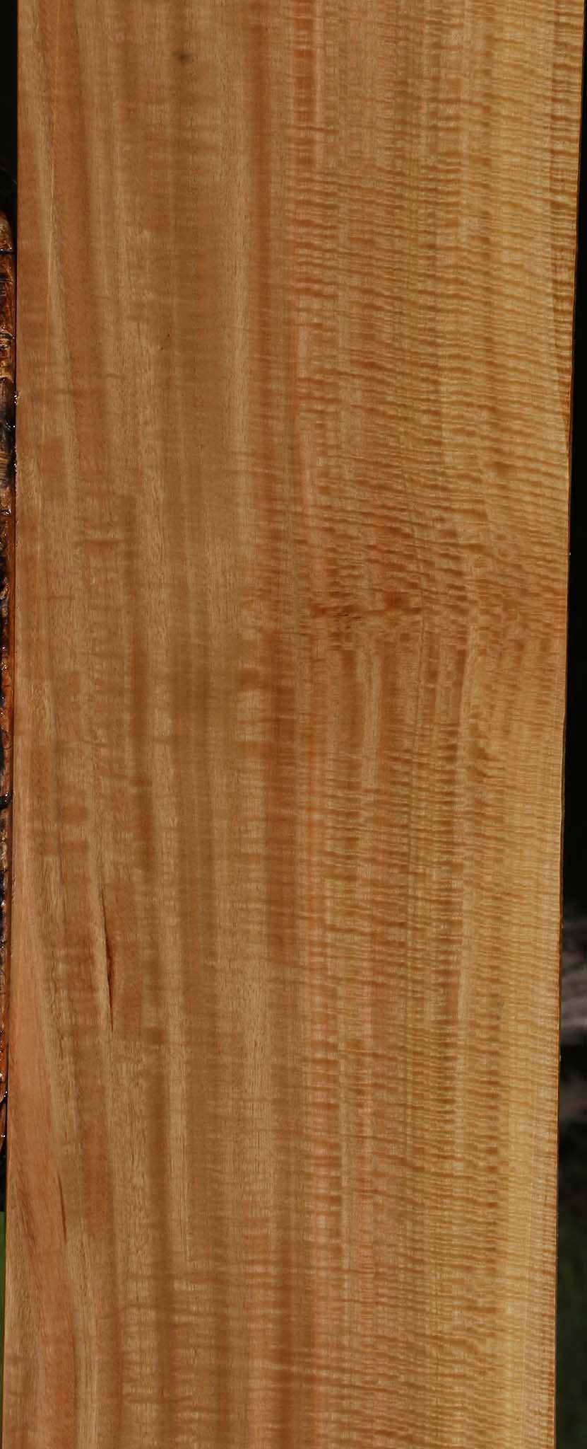Extra Fancy Eucalyptus Lumber