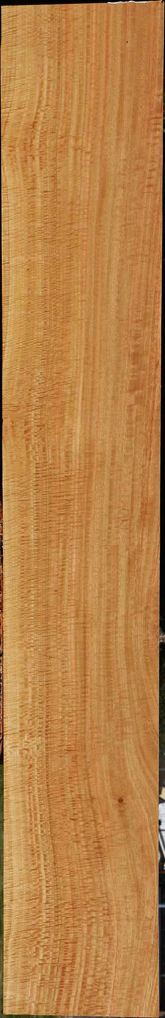 Extra Fancy Eucalyptus Lumber