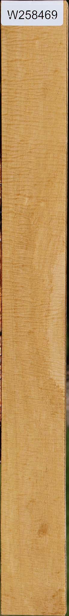 Exhibition Eucalyptus Lumber