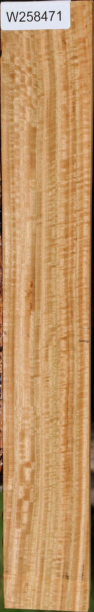 Extra Fancy Eucalyptus Micro Lumber