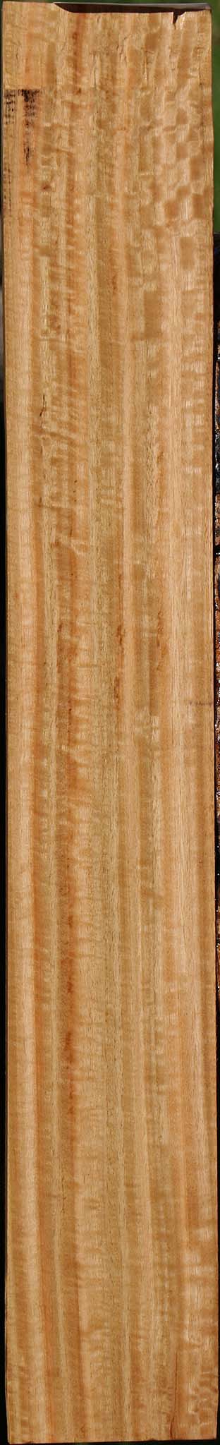 Extra Fancy Eucalyptus Micro Lumber