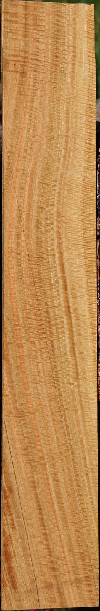 Exhibition Eucalyptus Lumber